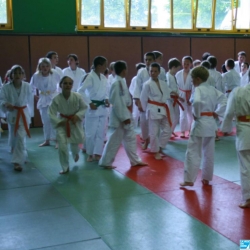La compétition amicale organisée par le Judo-club Baudimont a regroupé près de deux cent cinquante jeunes judokas